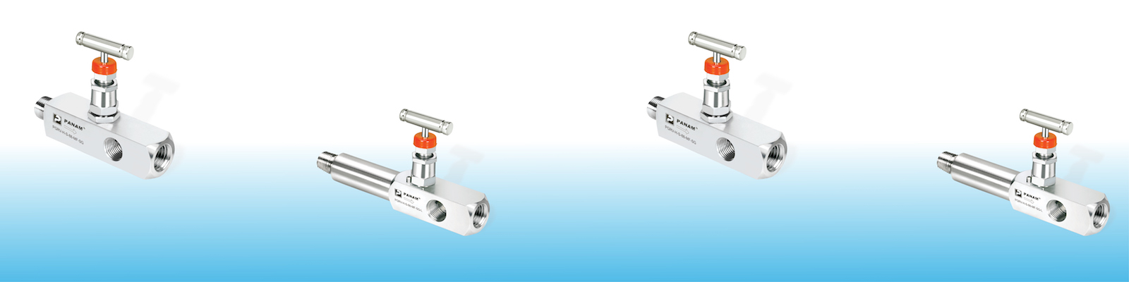 PANAM gauge root valves in various sizes and configurations